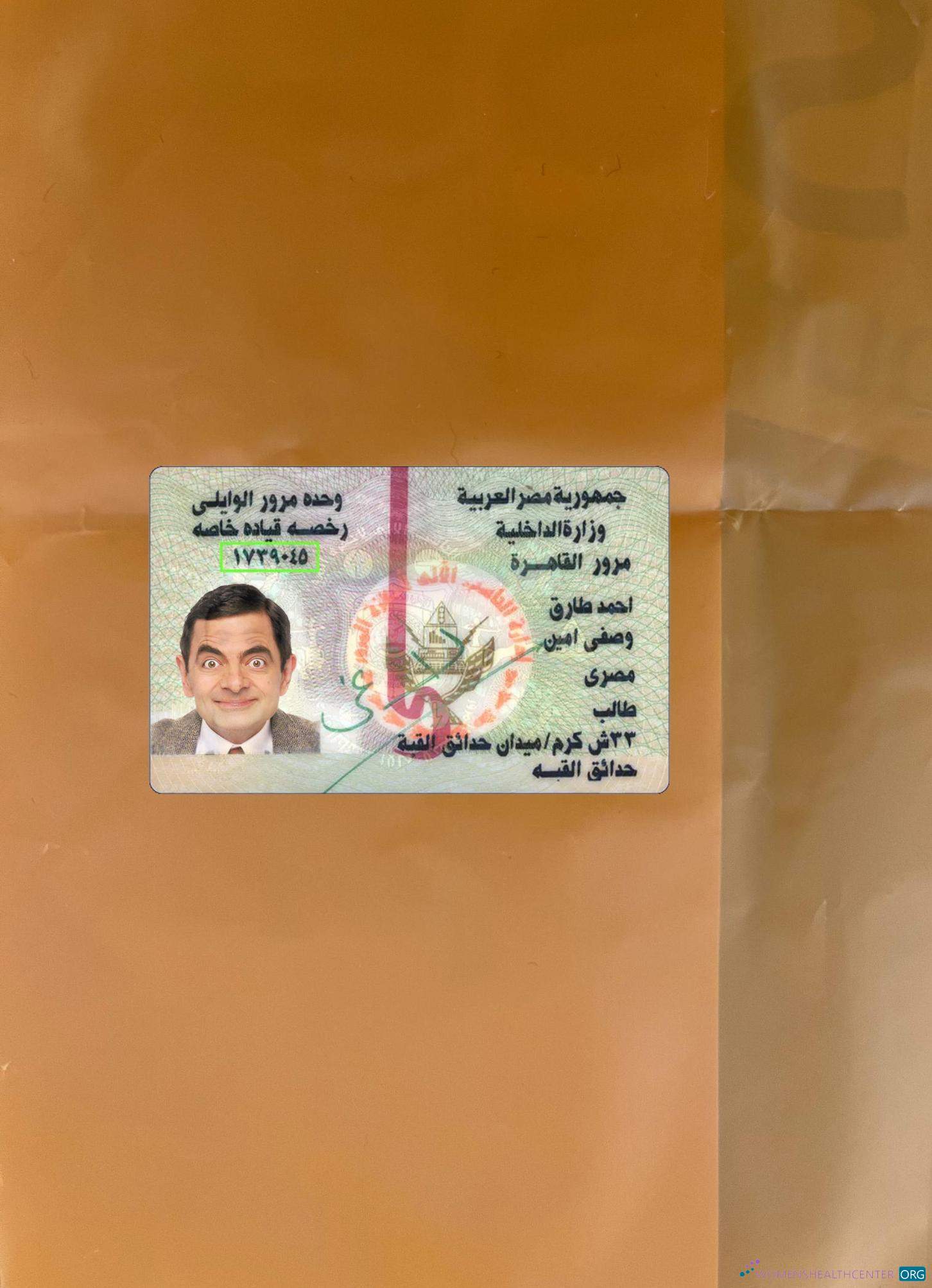 Download Egypt ID version 2 photolook front Photoshop template
